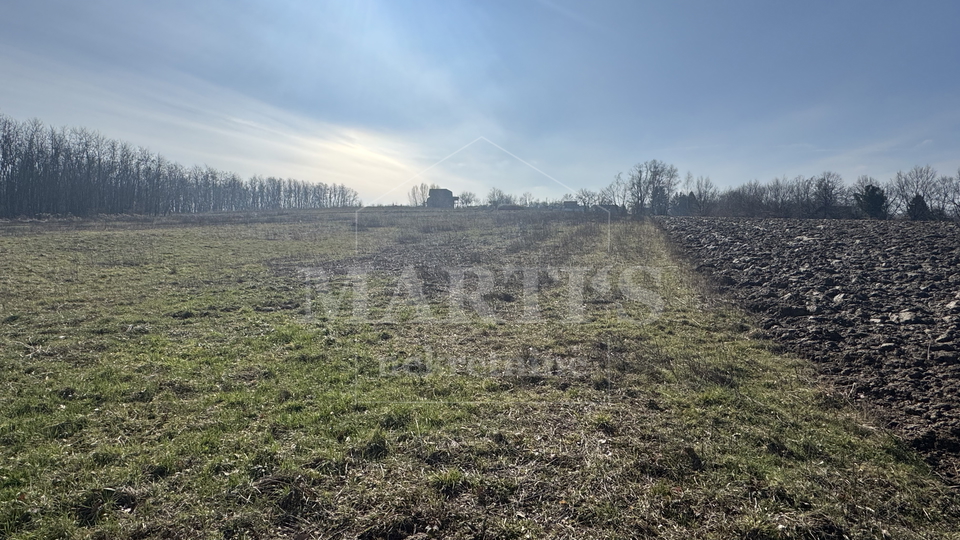 Terreno&comma; 8837 m2&comma; Vendita&comma; Gradec - Cugovec