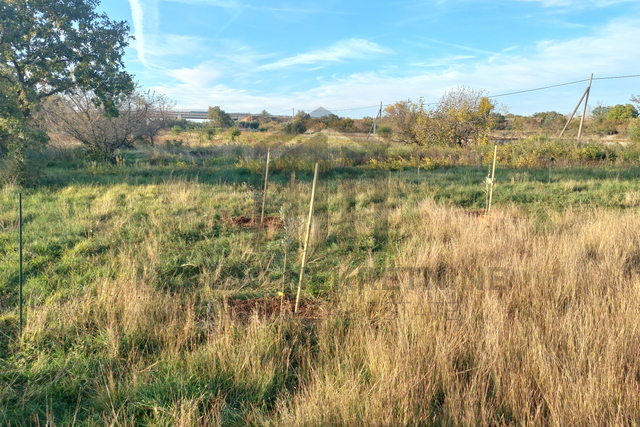 Poljoprivredno zemljište  - Vodnjan