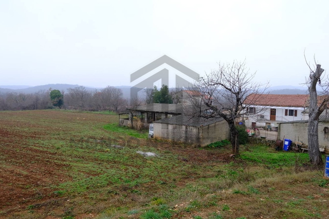 Istra, Bale, Imanje od 29.000m2