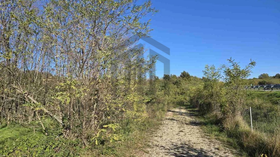 Land&comma; 12000 m2&comma; For Sale&comma; Kanfanar