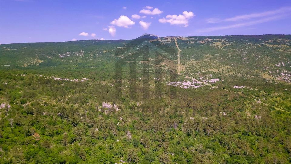 Istra&comma; Kamena ku&cacute;a s pogledom na U&ccaron;ku i potencijalom za bazen &ndash; &Scaron;u&scaron;njevica&comma; Istra &lpar;262 m&sup2;&rpar;&comma; potrebna obnova