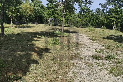 Istra, poljoprivredno zemljište kod Bala, 400 m2