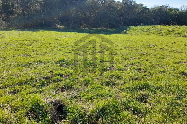 Poljoprivredno zemljište - Štokovci -26000 m2