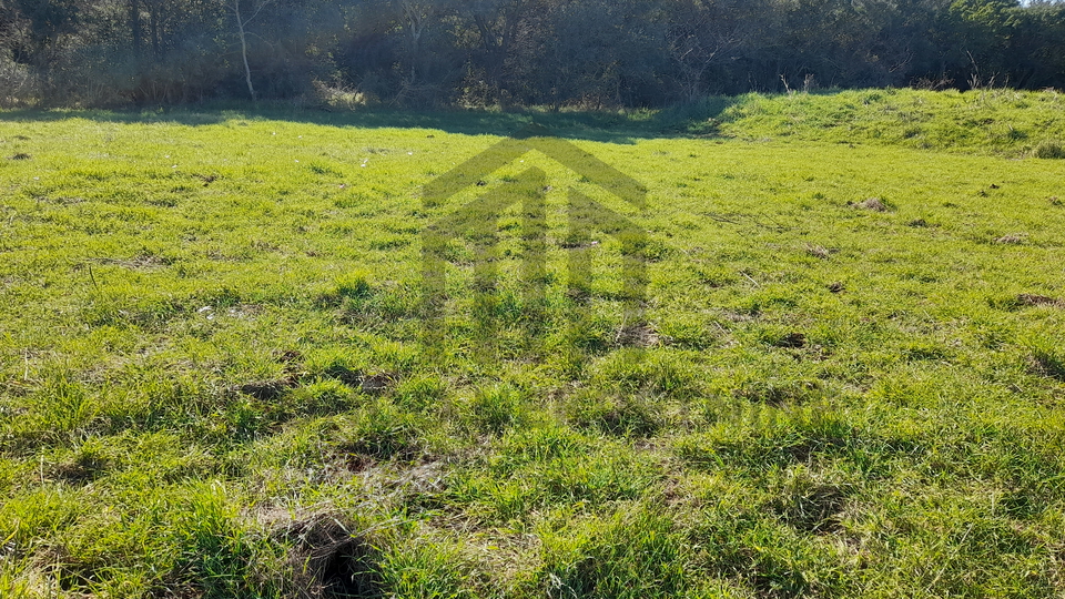 Poljoprivredno zemlji&scaron;te - &Scaron;tokovci -26000 m2