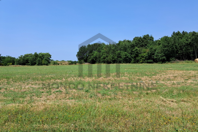 Land, 1250 m2, For Sale, Ližnjan - Šišan