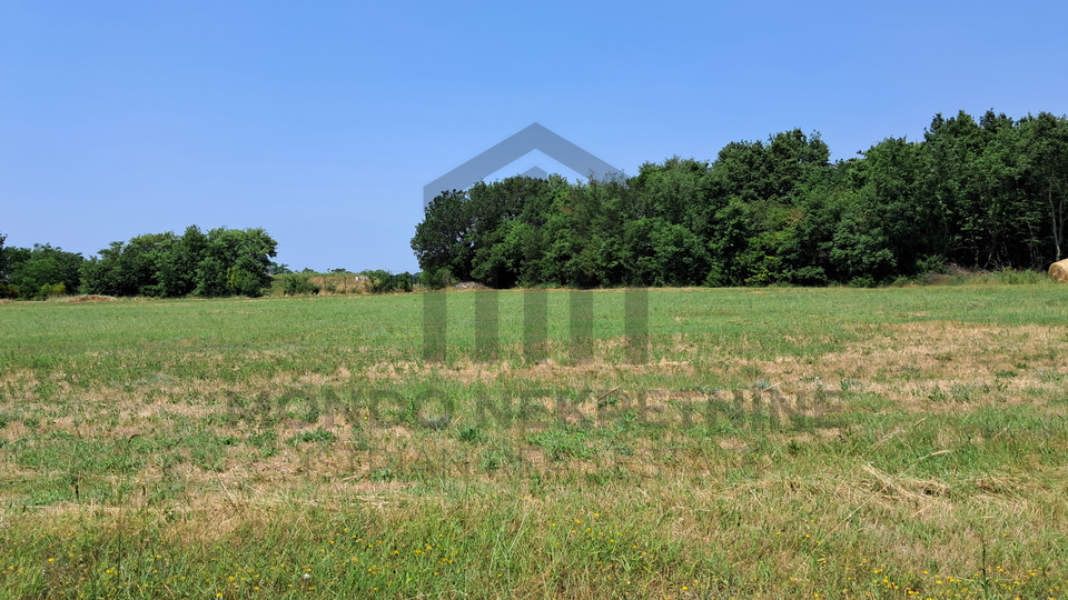 Land, 1250 m2, For Sale, Ližnjan - Šišan