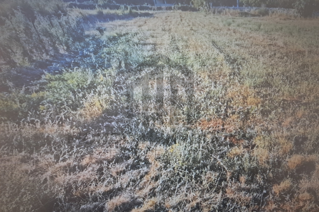 Land, 1010 m2, For Sale, Barban - Šajini