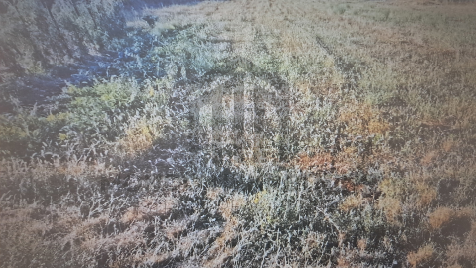 Land, 1010 m2, For Sale, Barban - Šajini
