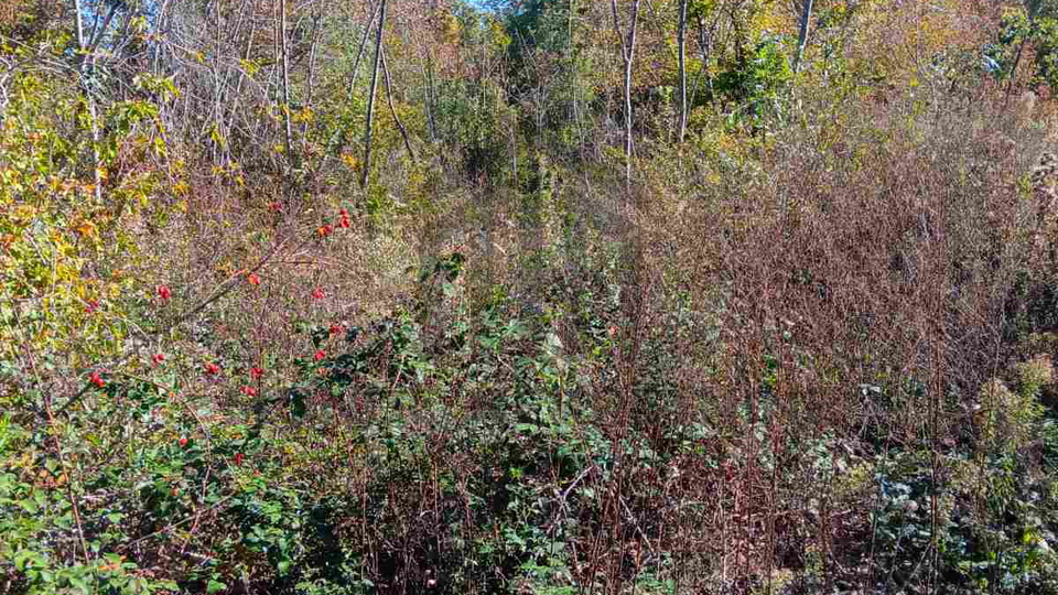 Land, 3018 m2, For Sale, Barban - Šajini