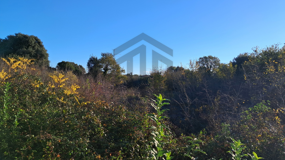 Poljoprivredna zemljišta - Pula