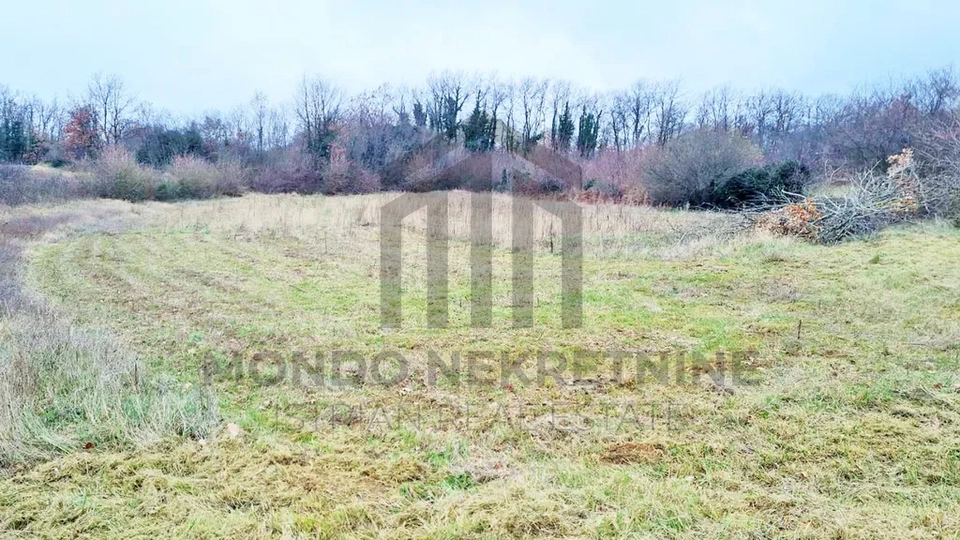 Istra, okolica Juršići,  poljoprivredno zemljište 3780 m2, pristup s asfalta