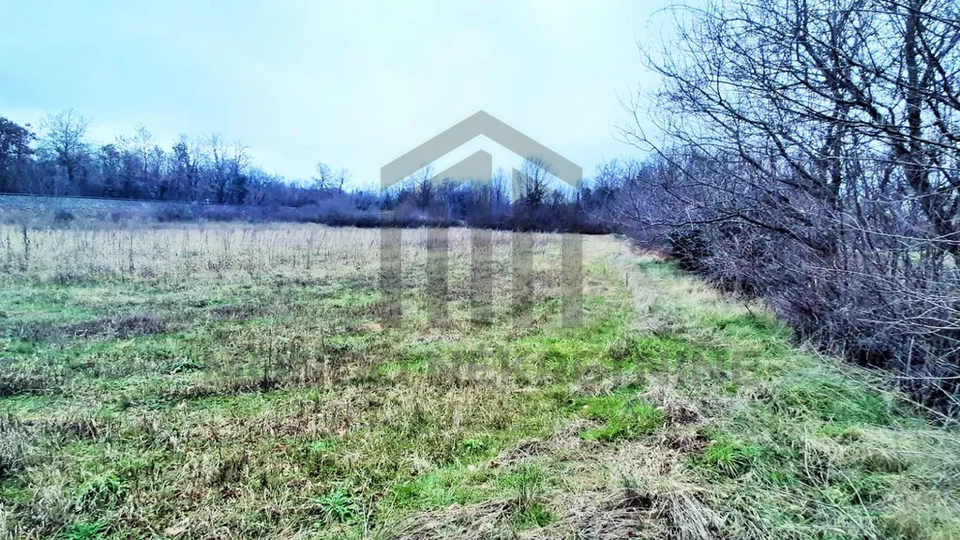 Istra, okolica Juršići,  poljoprivredno zemljište 3780 m2, pristup s asfalta