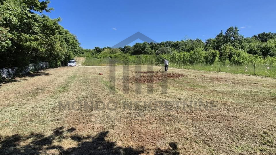 Poljoprivredno zemlji&scaron;te Jur&scaron;i&cacute;i &ndash; 875 m2&comma;  pristupni put 80 m2&comma; ulaz s asfalta