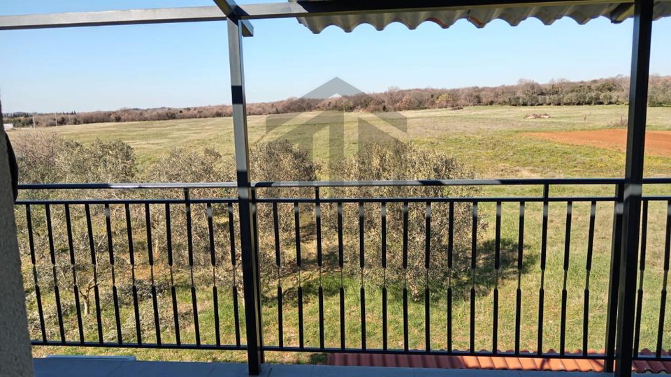 Apartmanska ku&cacute;a sa dva bazena - &Scaron;ijana okolica