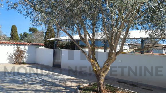 Apartmanska ku&cacute;a sa dva bazena - &Scaron;ijana okolica