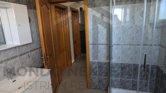 Apartmanska ku&cacute;a sa dva bazena - &Scaron;ijana okolica