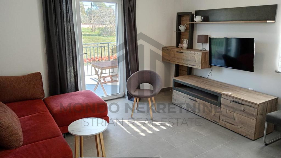 Apartmanska ku&cacute;a sa dva bazena - &Scaron;ijana okolica