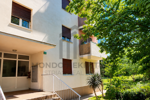 Istra, Pula - jednosoban stan 60 m2 - Šijana