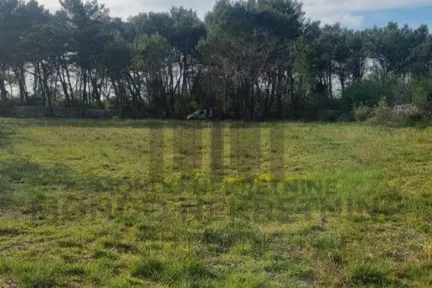 Poljoprivredno zemljište  - 638 m2 - Žminj