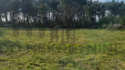 Poljoprivredno zemljište  - 638 m2 - Žminj