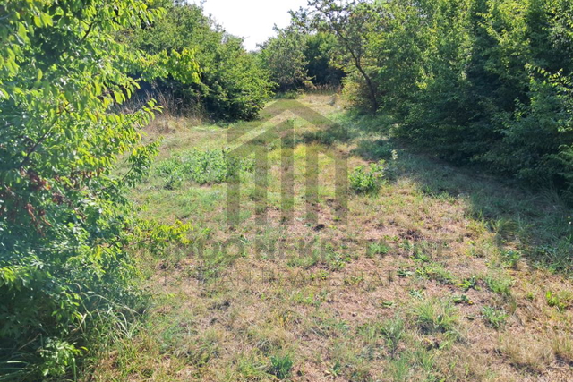 Land, 15854 m2, For Sale, Ližnjan - Muntić