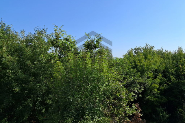 Land, 2530 m2, For Sale, Ližnjan - Valtura