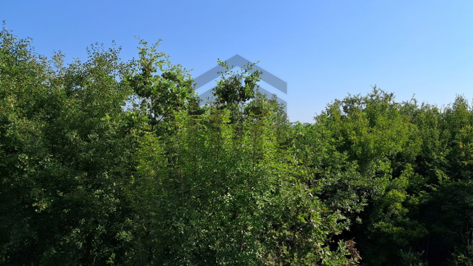 Land, 2530 m2, For Sale, Ližnjan - Valtura