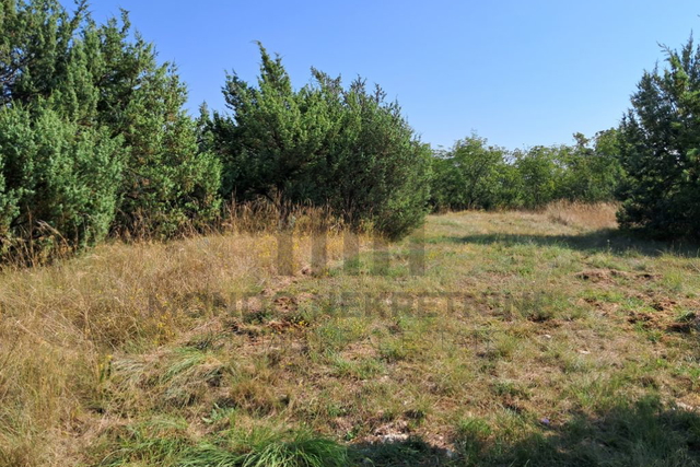 Land, 5859 m2, For Sale, Barban