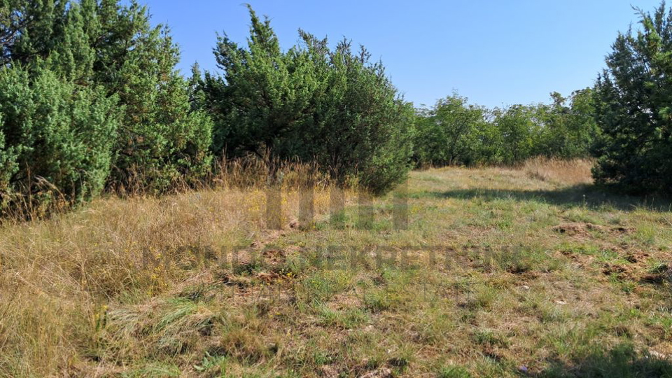 Poljoprivredno zemljište - 4546 m2 - Galižana