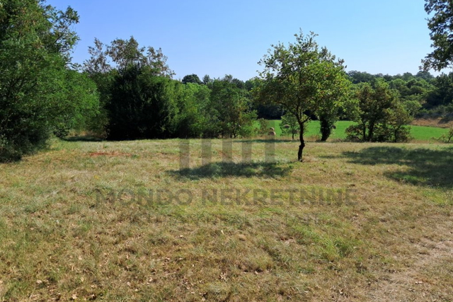 Poljoprivredno zemljište  - Vodnjan 540 m2
