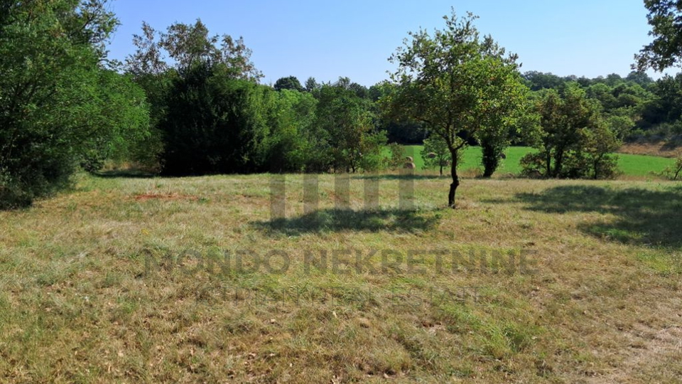 Poljoprivredno zemljište  - Vodnjan 540 m2