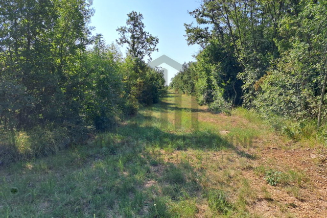 Land, 3597 m2, For Sale, Ližnjan