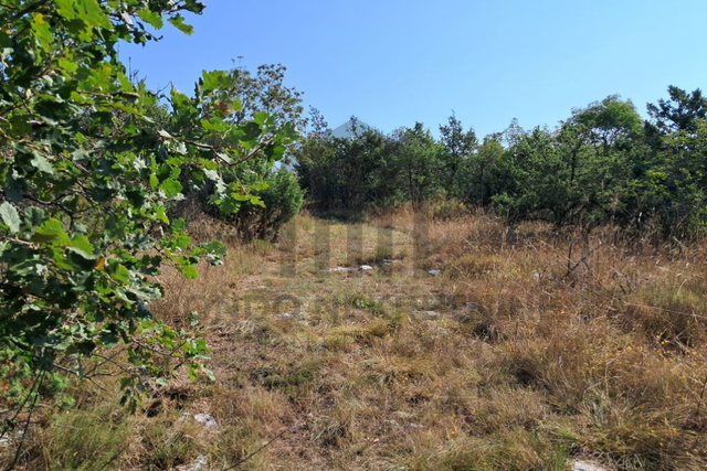 Veliko poljoprivredno zemljište - Šajini