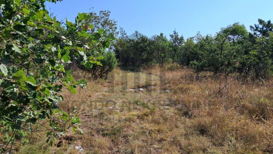 Veliko poljoprivredno zemlji&scaron;te - &Scaron;ajini