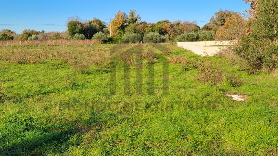 Poljoprivredno zemljište - Peroj 2900 m2