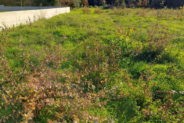 Poljoprivredno zemljište - Peroj 2900 m2