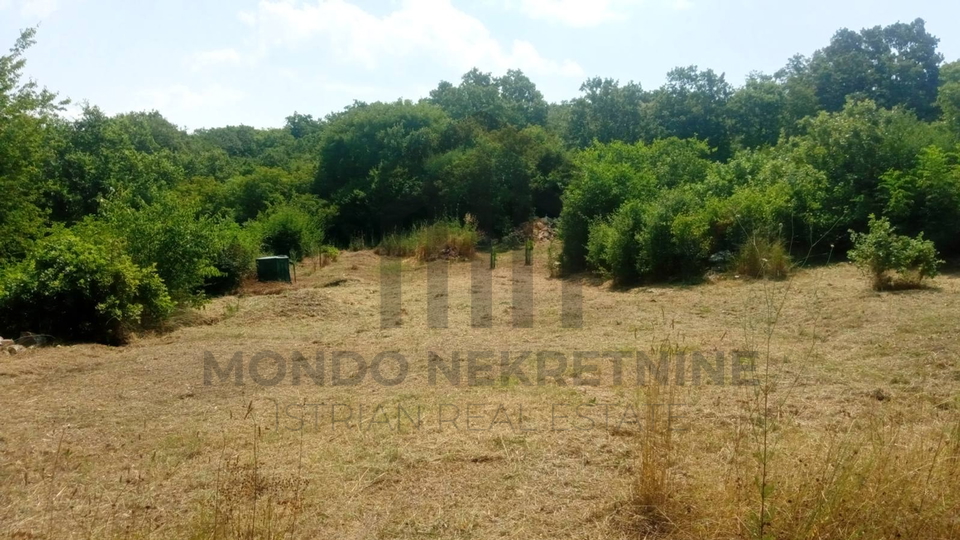 Poljoprivredno zemljište - 4546 m2 - Galižana