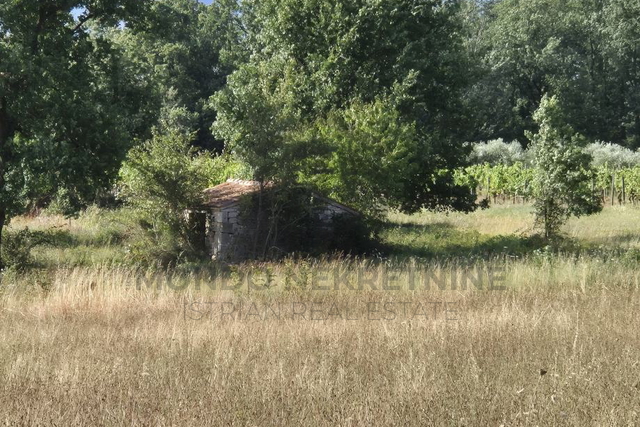 Land, 32619 m2, For Sale, Kaštelir