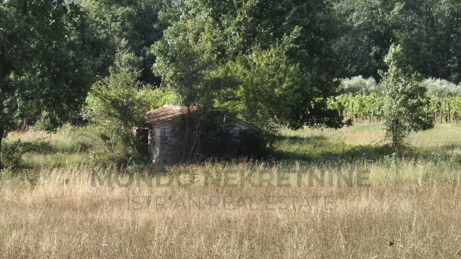 Land&comma; 32619 m2&comma; For Sale&comma; Ka&scaron;telir
