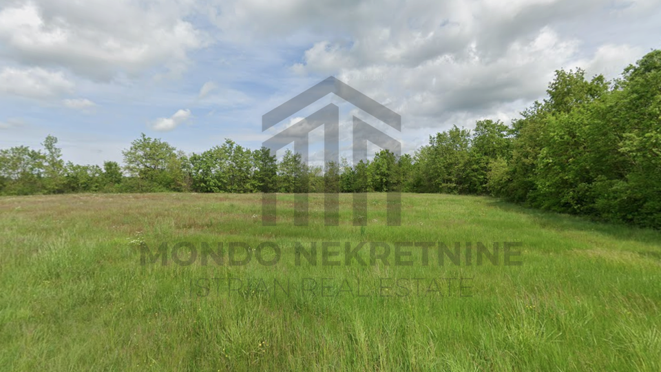 Land&comma; 54296 m2&comma; For Sale&comma; Pazin - Lindar
