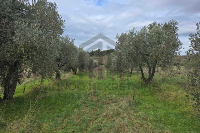 Land, 2000 m2, For Sale, Pula