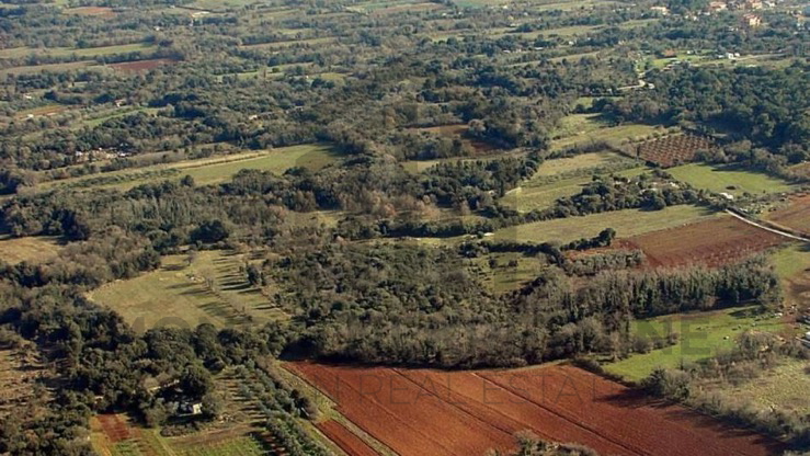 Zemljišče, 16000 m2, Prodaja, Ližnjan
