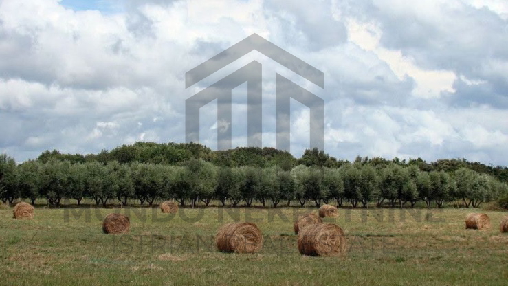 Zemljišče, 16000 m2, Prodaja, Ližnjan