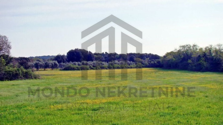 Zemljišče, 16000 m2, Prodaja, Ližnjan