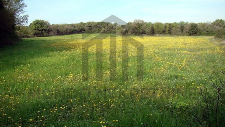 Zemljišče, 16000 m2, Prodaja, Ližnjan