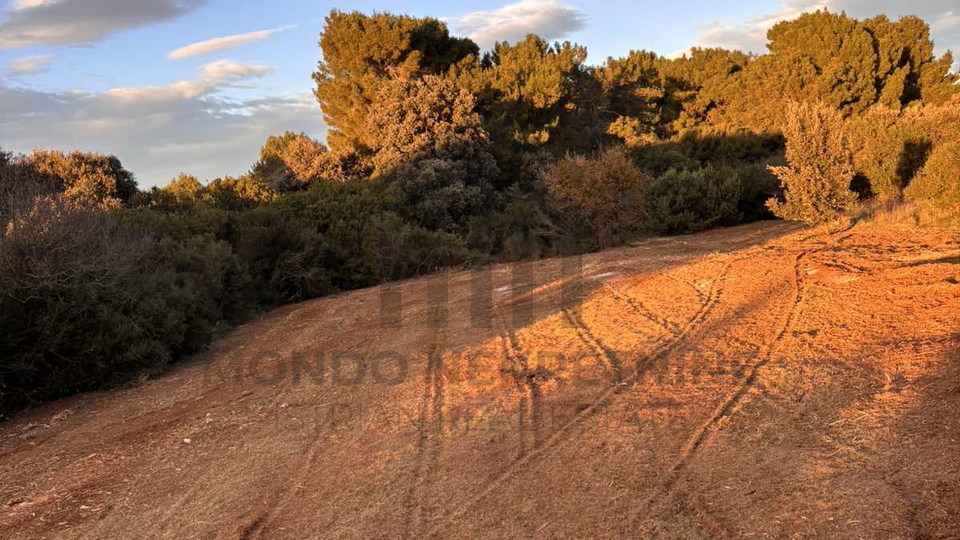 Land, 1600 m2, For Sale, Ližnjan