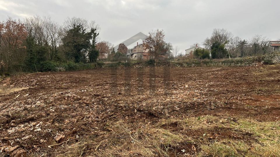 Land&comma; 4168 m2&comma; For Sale&comma; Tinjan