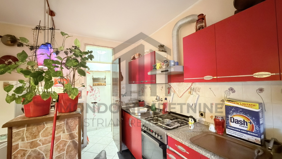 Istra&comma; Pula - jednosoban stan 60 m2 - &Scaron;ijana