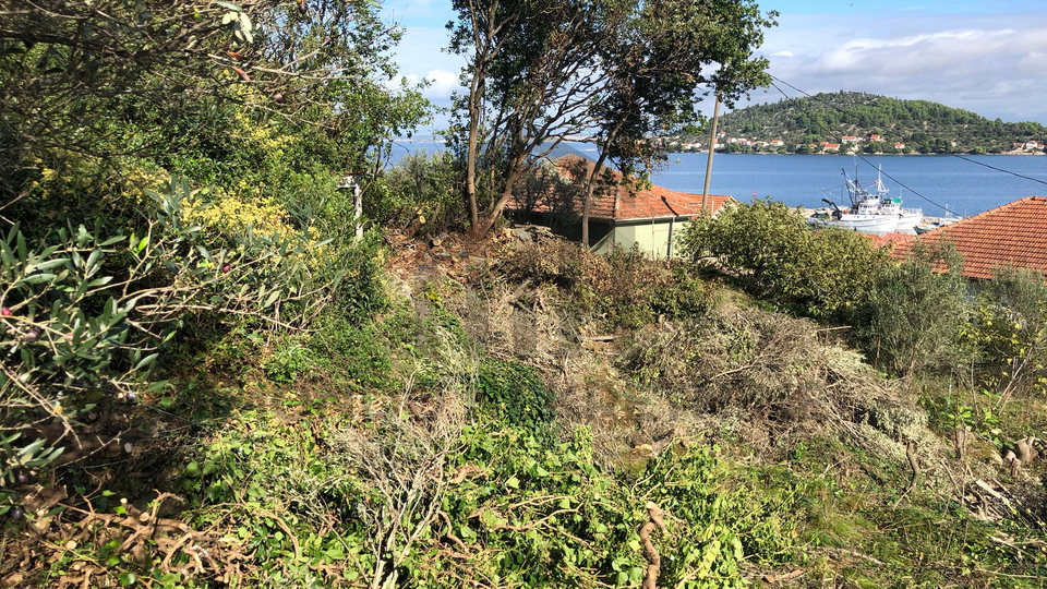 Gra&dstrok;evinsko Zemlji&scaron;te &ndash; Kali&comma; Otok Ugljan &ndash; pogled na more