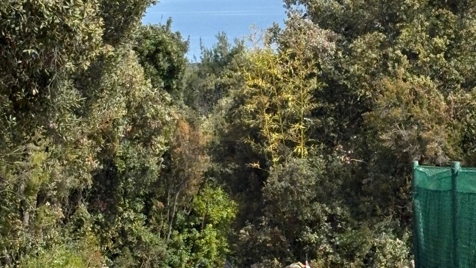 PRILIKA &ndash; POLJOPRIVREDNO ZEMLJI&Scaron;TE PAVI&Cacute;INI 426 m2 &lpar;BLIZU DUGE UVALE&rpar;